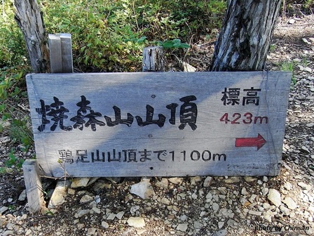 Mt.Keisoku 20150428_11.JPG