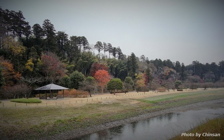 Sakuragawa 20141204_04.JPG